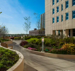 The Harbors at The Admiral ranked among Chicago’s Best Nursing Homes