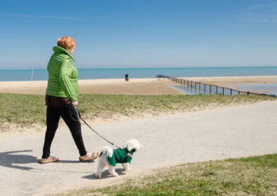 Discover the Benefits of Assisted Living: A Virtual Presentation