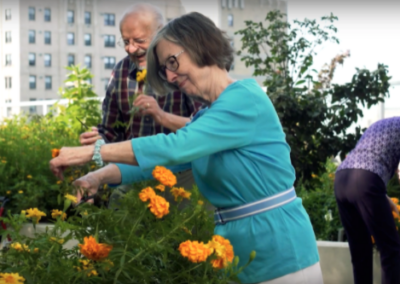 Exploring summer hobbies at The Admiral: benefits of gardening for seniors